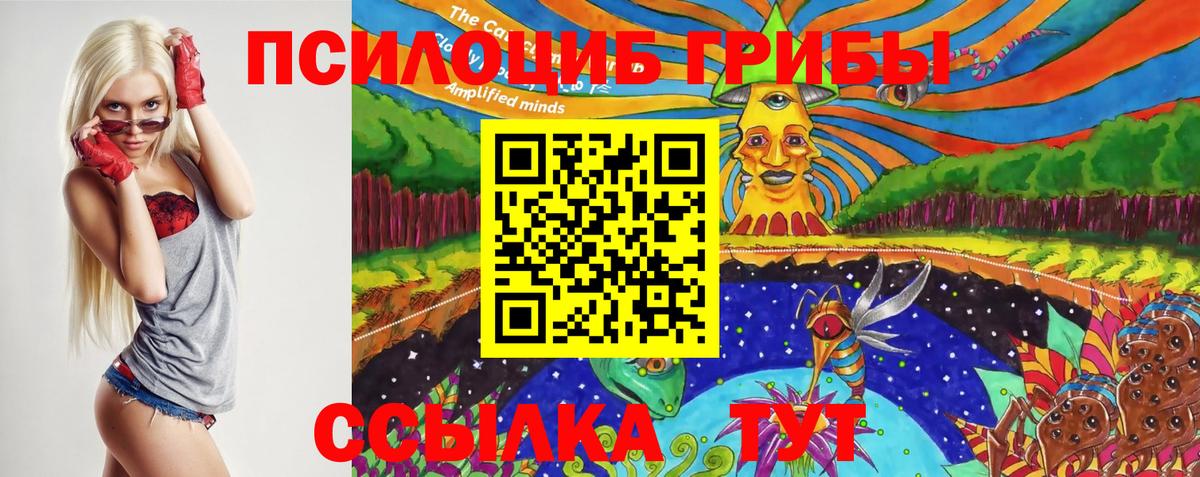 Галлюциногенные грибы Psilocybe Муром